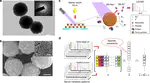 Machine learning of serum metabolic patterns encodes early-stage lung adenocarcinoma
